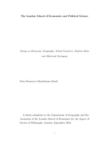 School paper use and economic status essay